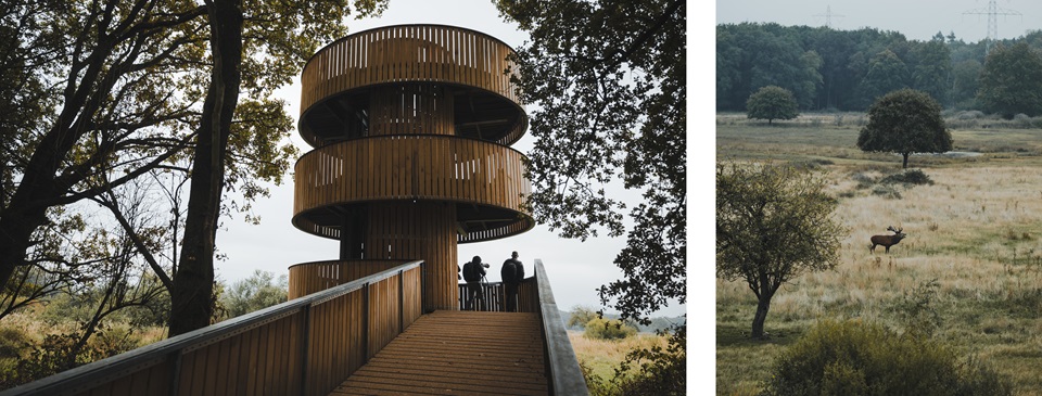 Uitkijktoren in het natuurgebied met een edelhert in het open veld