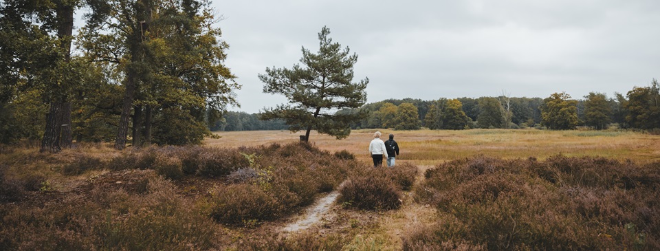 Twee wandelaars lopen over de heide door het natuurgebied