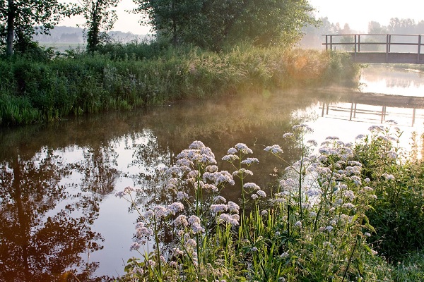 Brug over de Tungelroyse Beek in natuurgebied de Krang