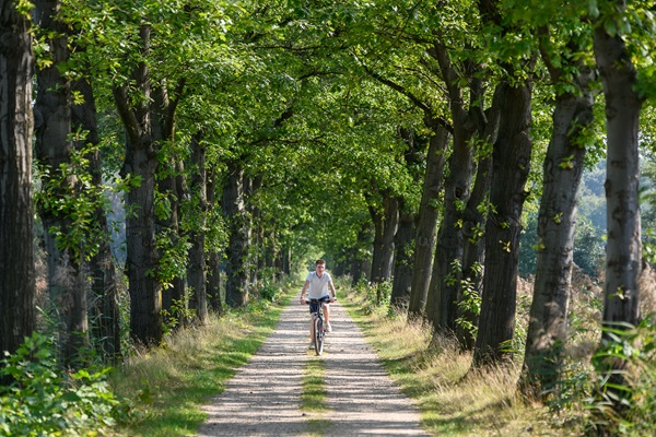 Young man cycles his e-bike along a country road