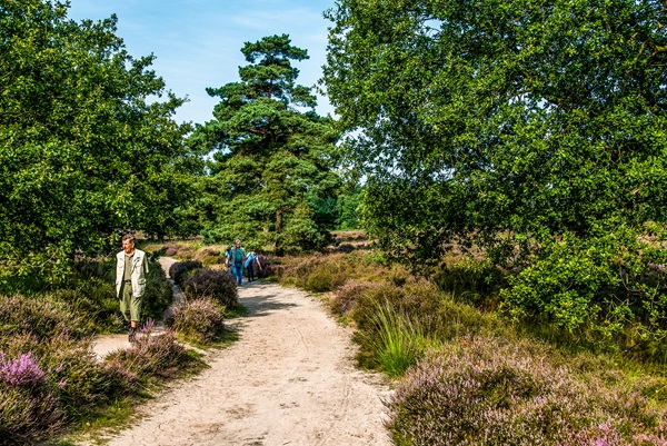 Spaziergang durch die schöne Landschaft von Roerdalen mit einem Führer