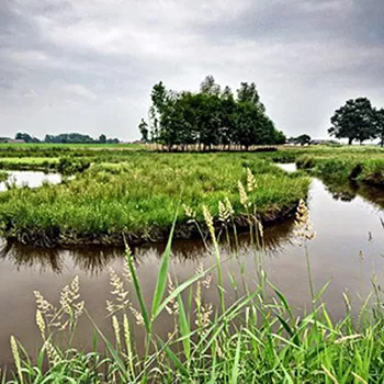 Natuurgebied de Krang