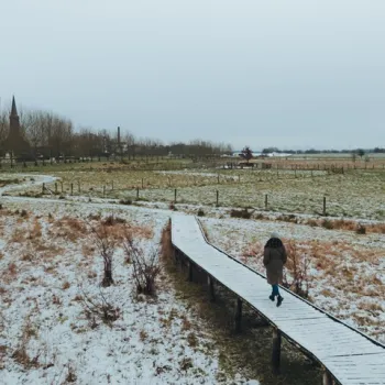 Knuppelbrug door een winters landschap bij het dorp Buggenum, met een wandelaar op het houten pad.